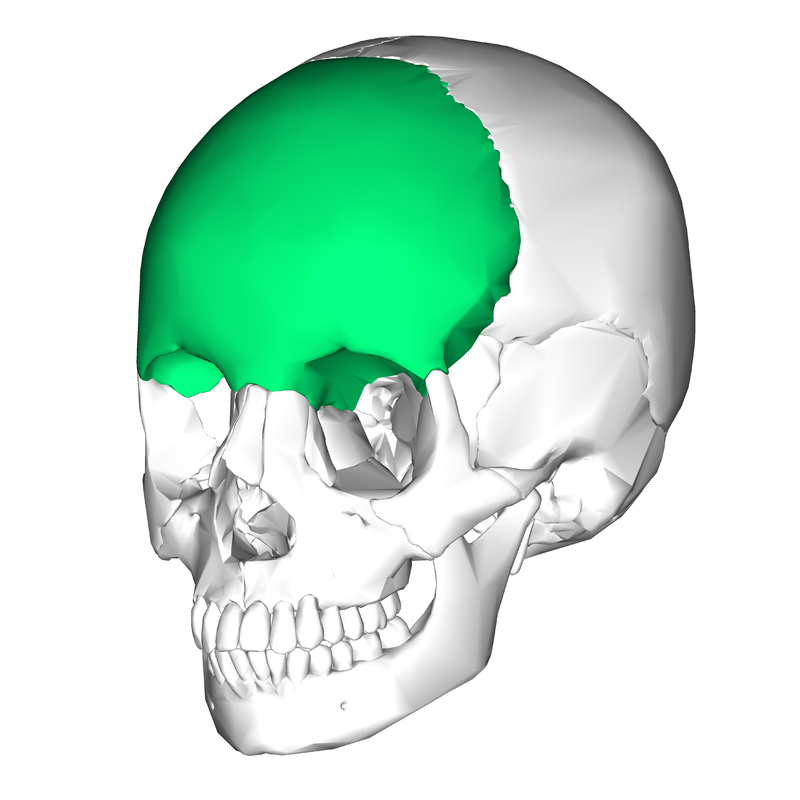 osso frontal - fraturas faciais