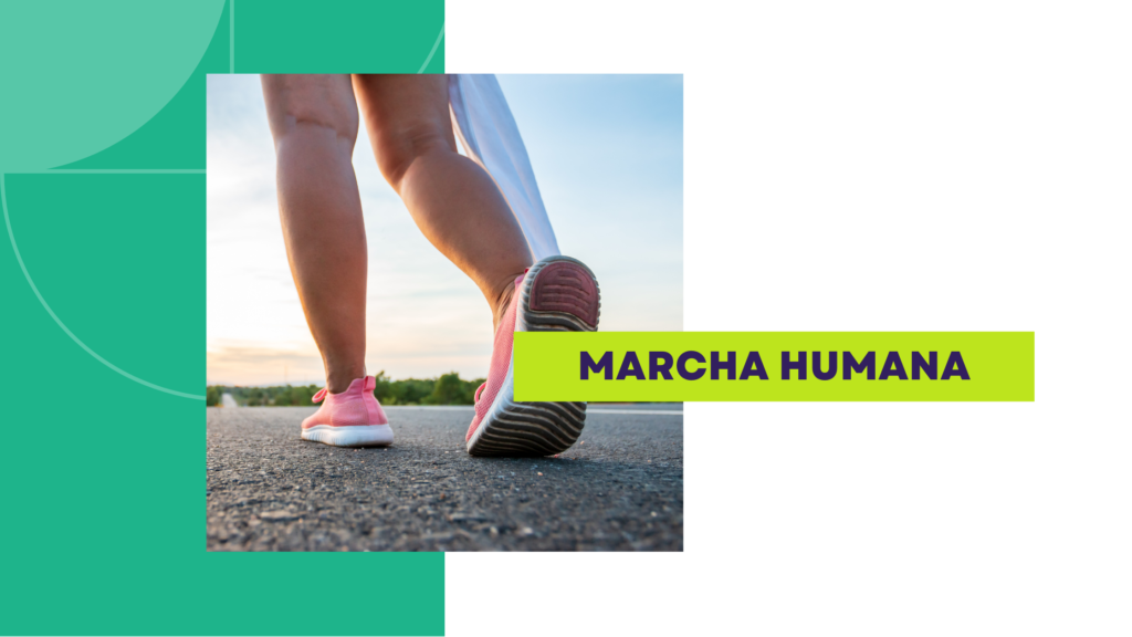 marcha humana